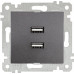 Розетка с двойной USB Multusan Rita, дымчатый цвет